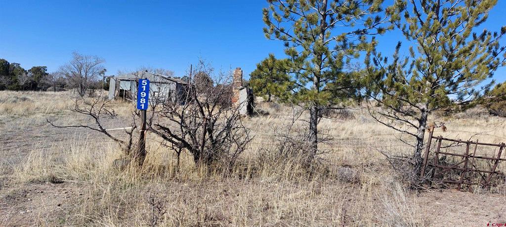 51981 Highway 491 Highway Property Photo 8
