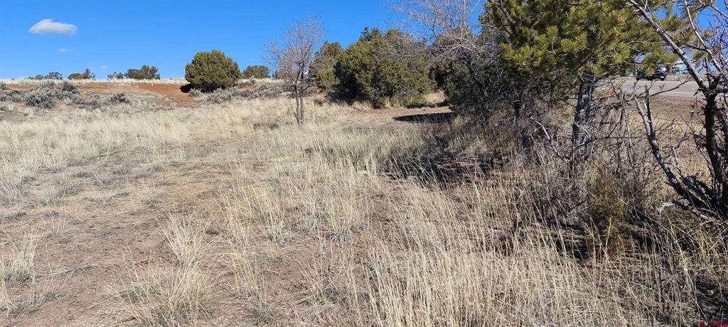51981 Highway 491 Highway Property Photo 9