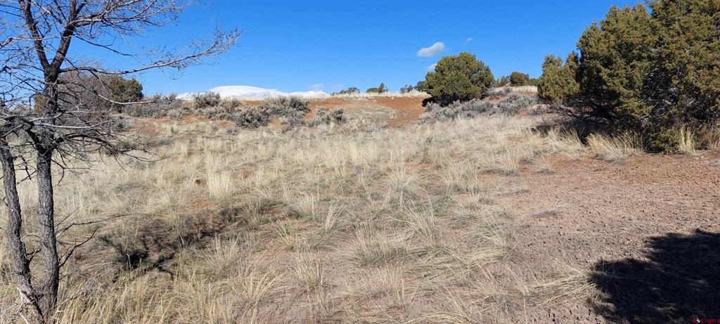 51981 Highway 491 Highway Property Photo 10