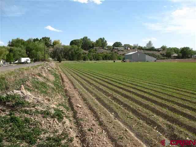 Tbd 1725 Road Property Photo 4