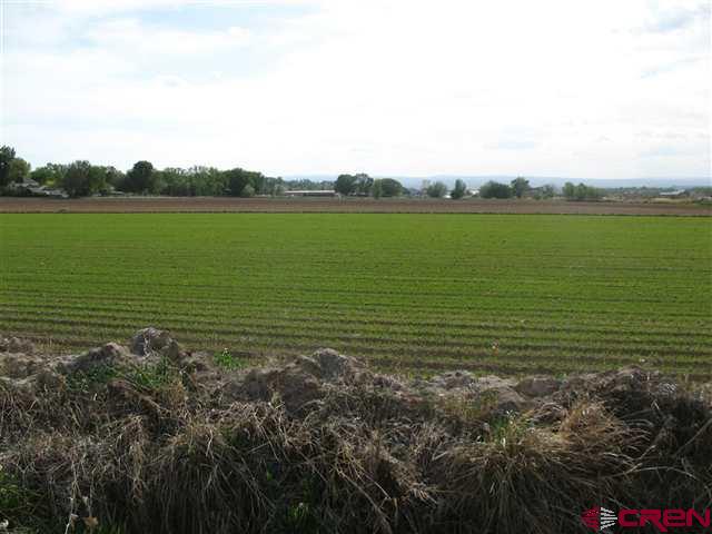 Tbd 1725 Road Property Photo 6