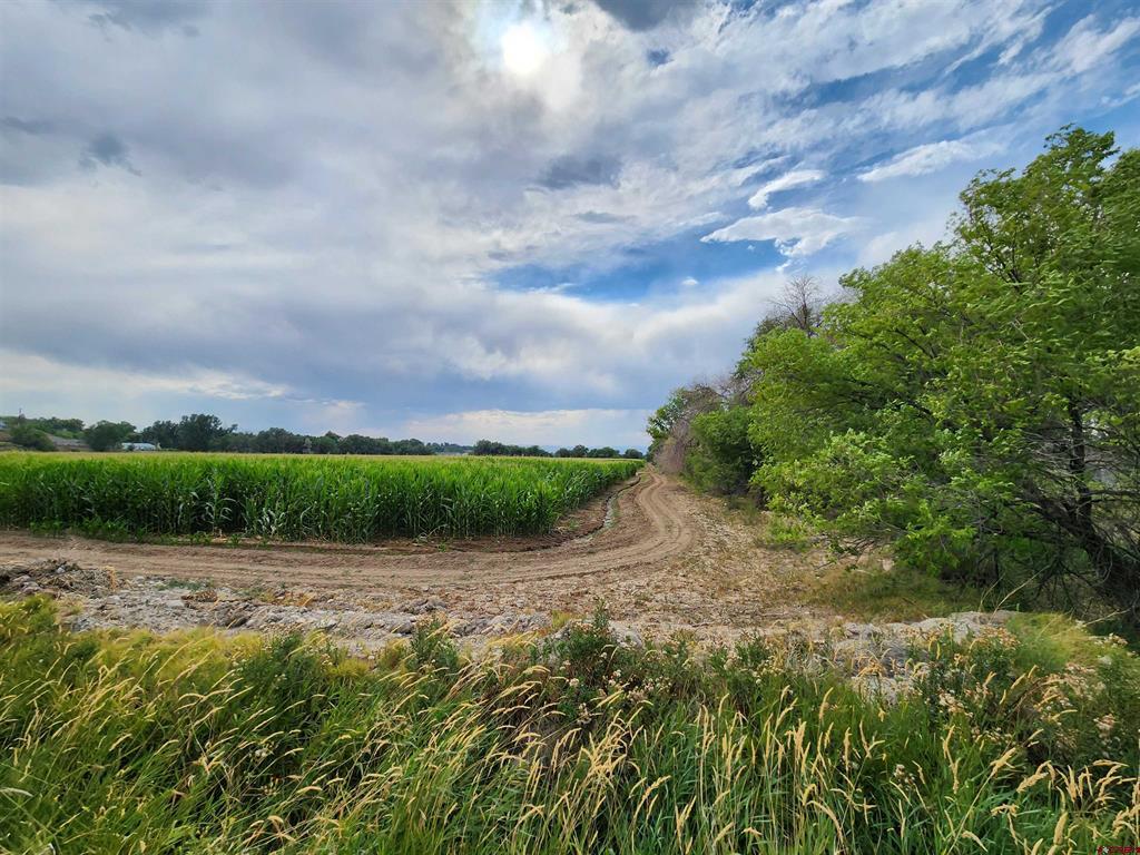 Tbd 1725 Road Property Photo 7