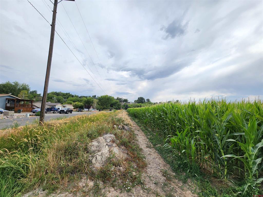 Tbd 1725 Road Property Photo 9