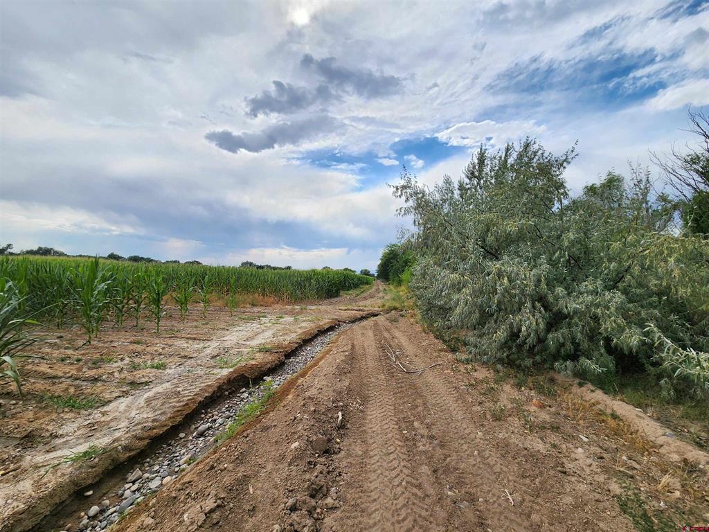 Tbd 1725 Road Property Photo 11