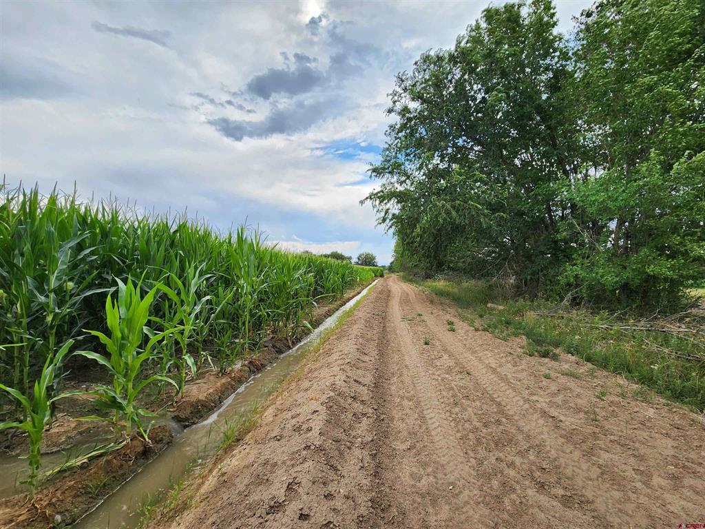 Tbd 1725 Road Property Photo 12