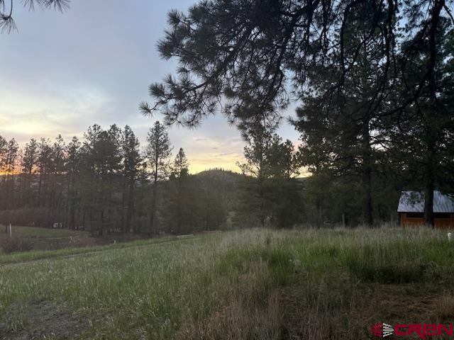 167 Ute Lane Property Photo 26