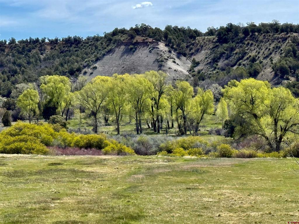 769 & 784 Bareback Lane Property Photo 1
