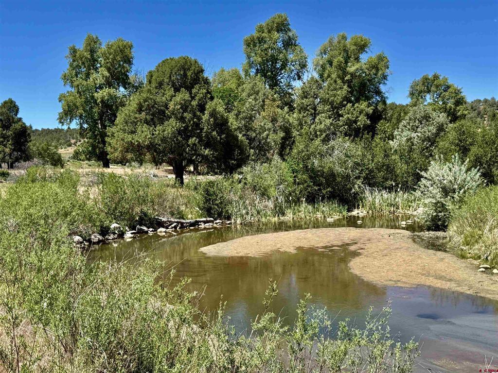 769 & 784 Bareback Lane Property Photo 2