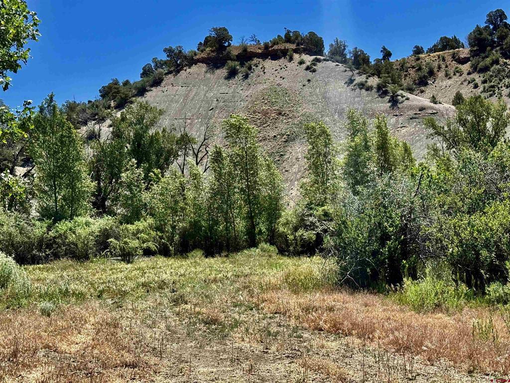 769 & 784 Bareback Lane Property Photo 3