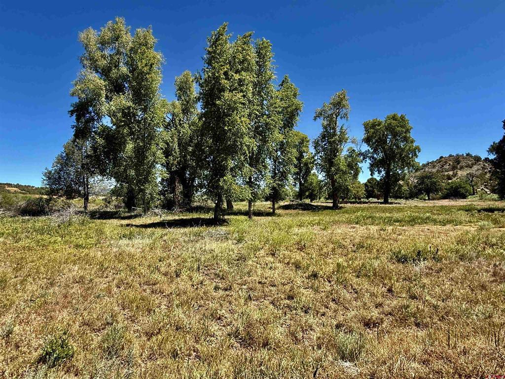 769 & 784 Bareback Lane Property Photo 10