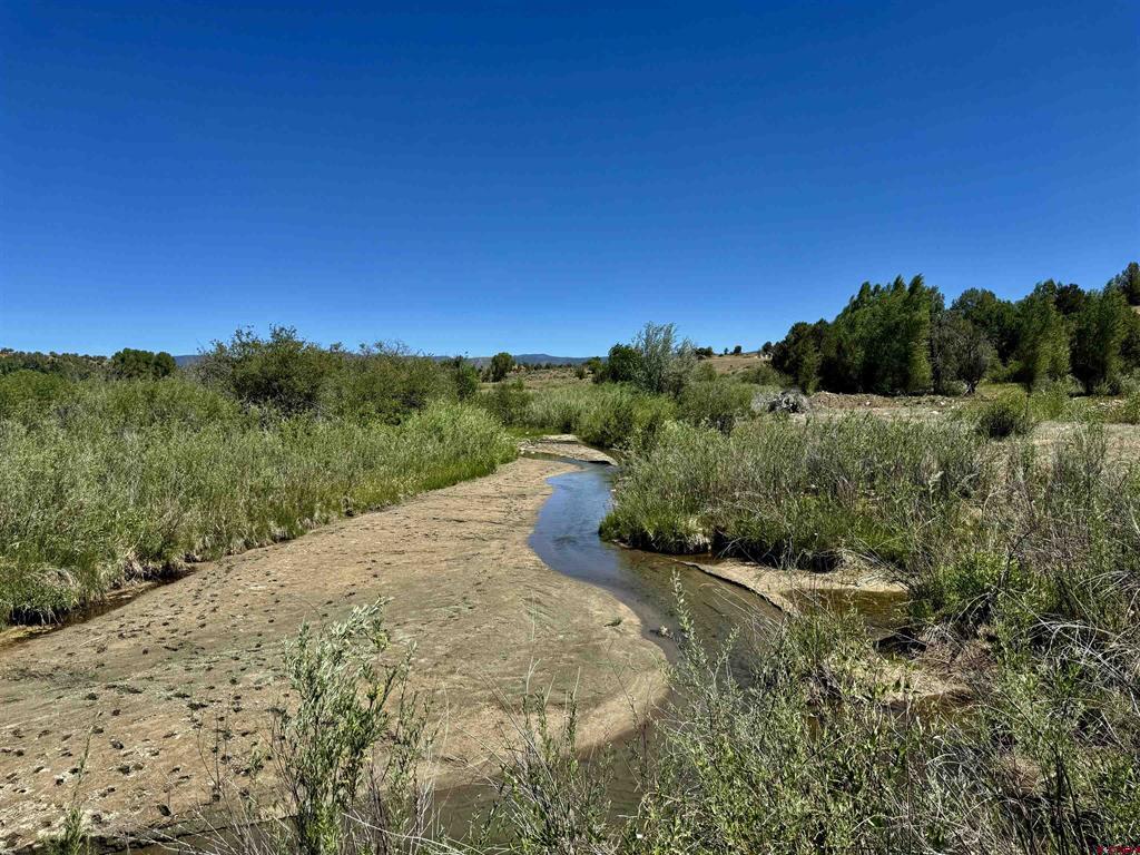 769 & 784 Bareback Lane Property Photo 12