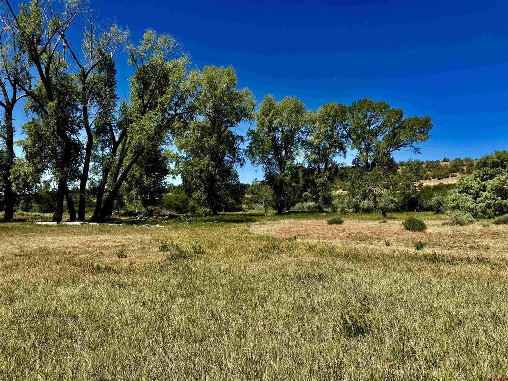 769 & 784 Bareback Lane Property Photo 13