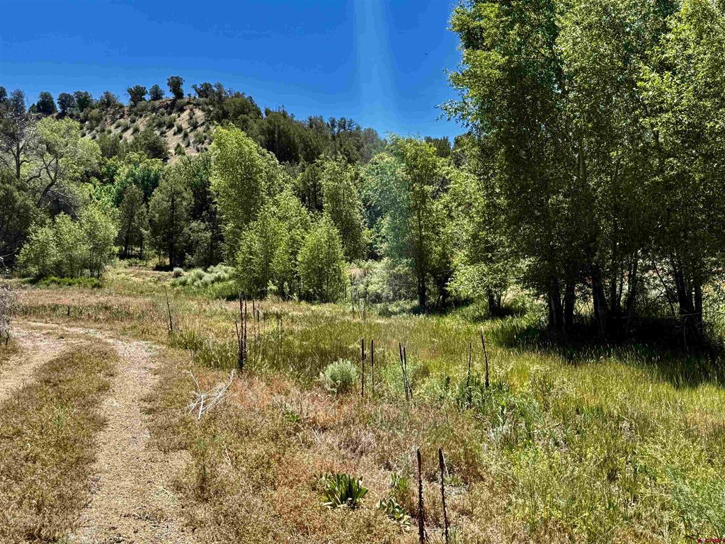 769 & 784 Bareback Lane Property Photo 14