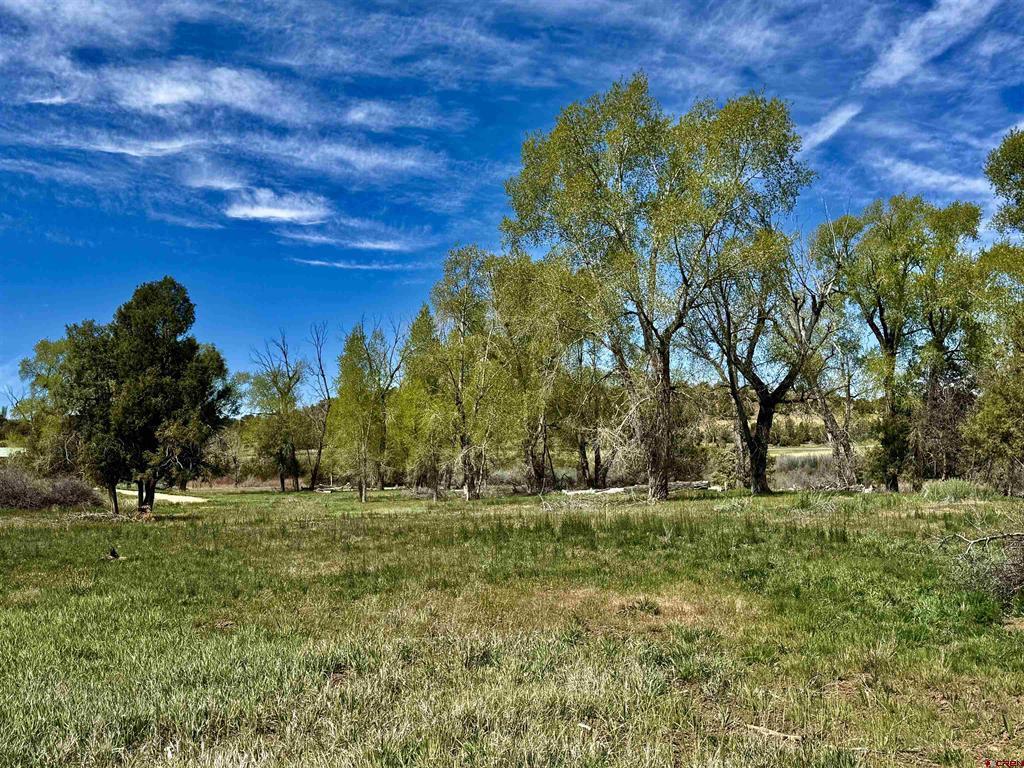 769 & 784 Bareback Lane Property Photo 15