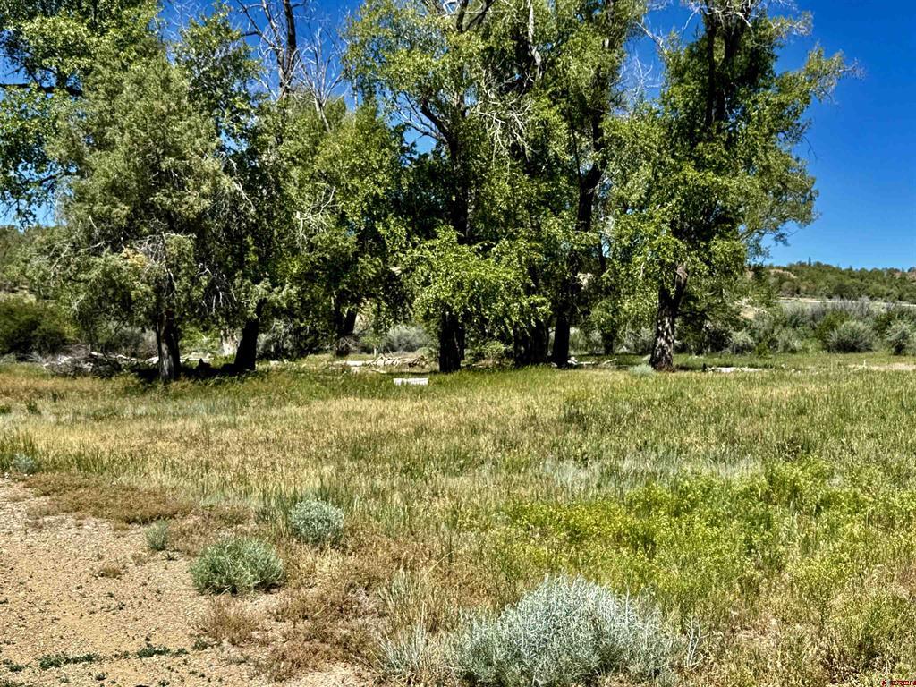 769 & 784 Bareback Lane Property Photo 16