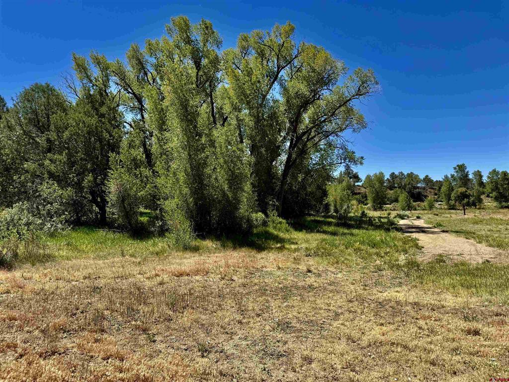 769 & 784 Bareback Lane Property Photo 18