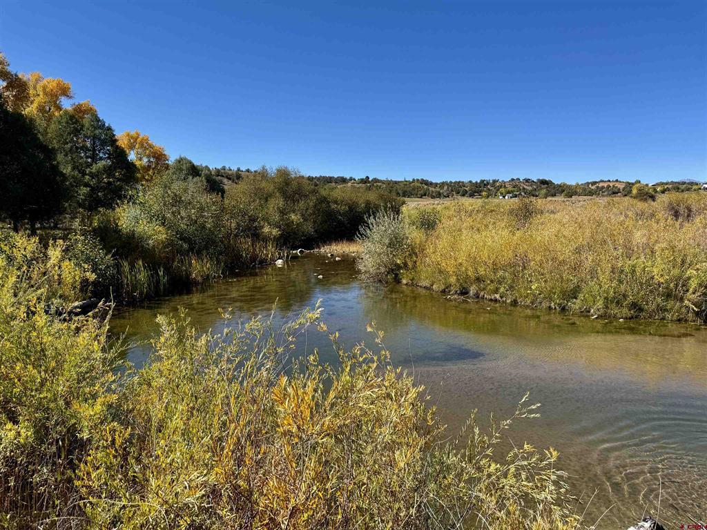 769 & 784 Bareback Lane Property Photo 19