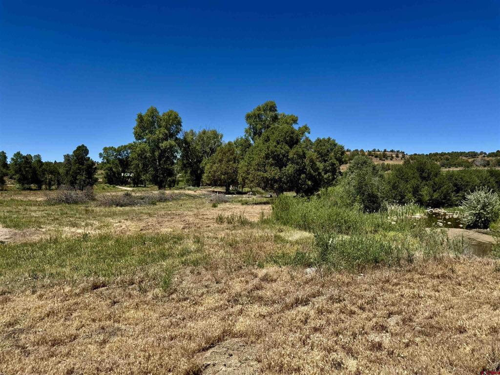 769 & 784 Bareback Lane Property Photo 20