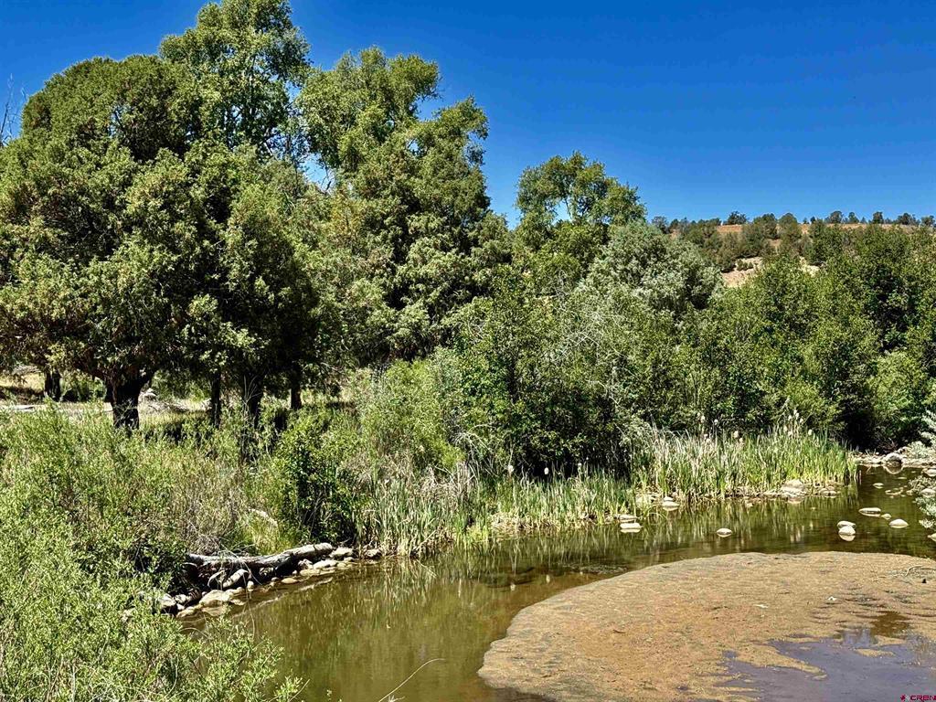 769 & 784 Bareback Lane Property Photo 21