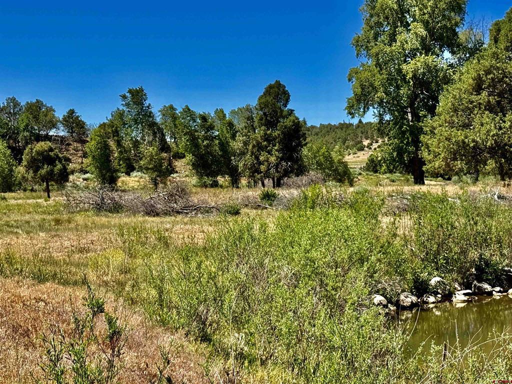 769 & 784 Bareback Lane Property Photo 22