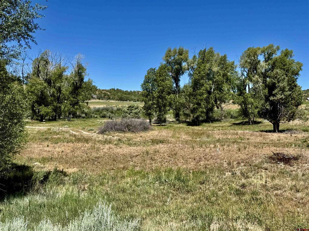 769 & 784 Bareback Lane Property Photo 23