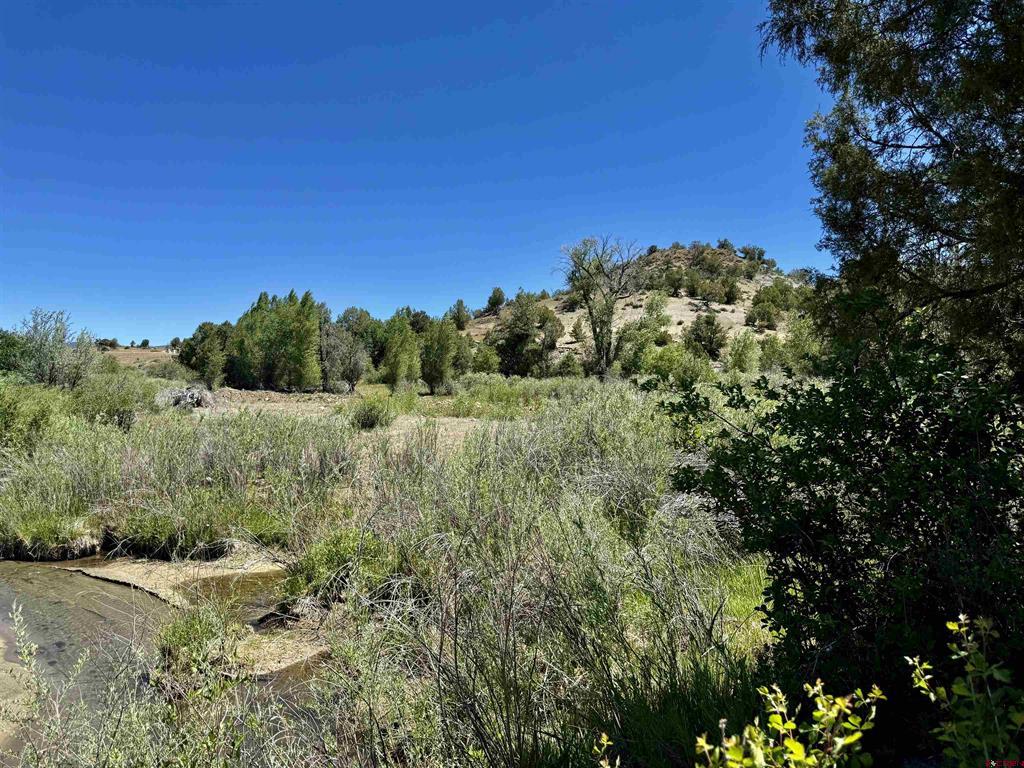 769 & 784 Bareback Lane Property Photo 24