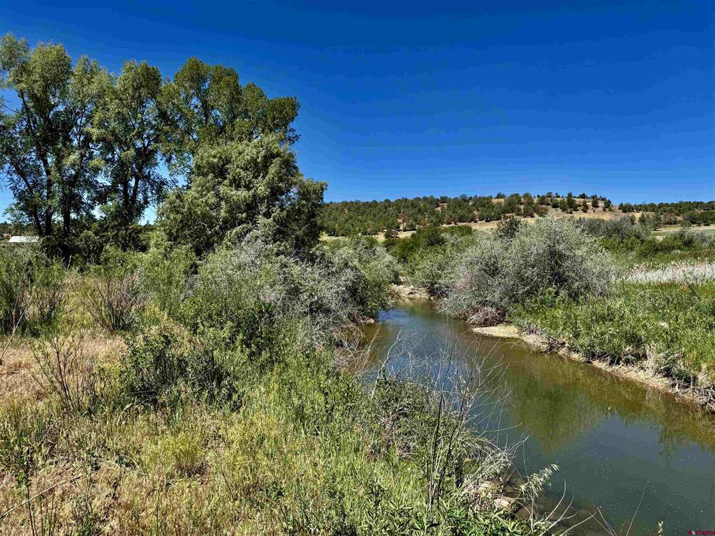 769 & 784 Bareback Lane Property Photo 25