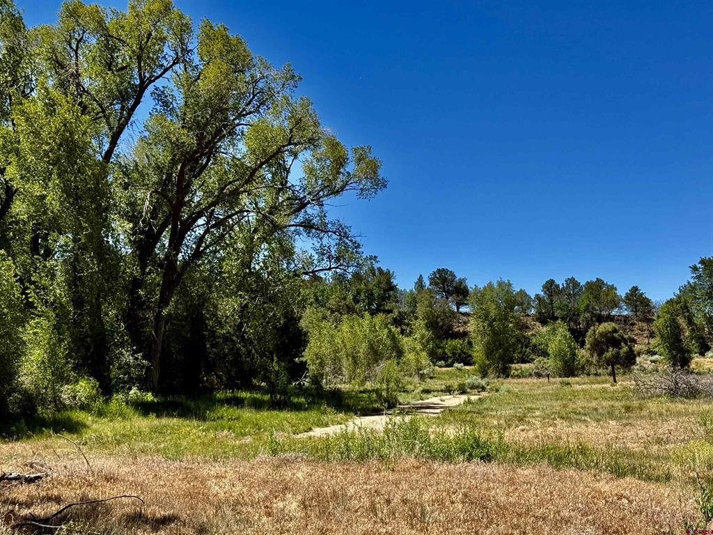 769 & 784 Bareback Lane Property Photo 26