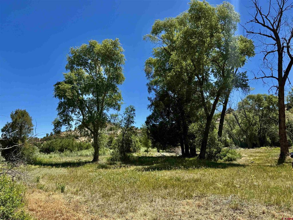 769 & 784 Bareback Lane Property Photo 28