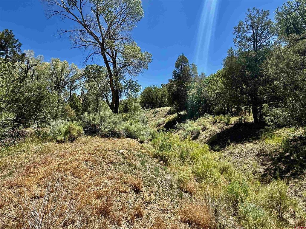 769 & 784 Bareback Lane Property Photo 29
