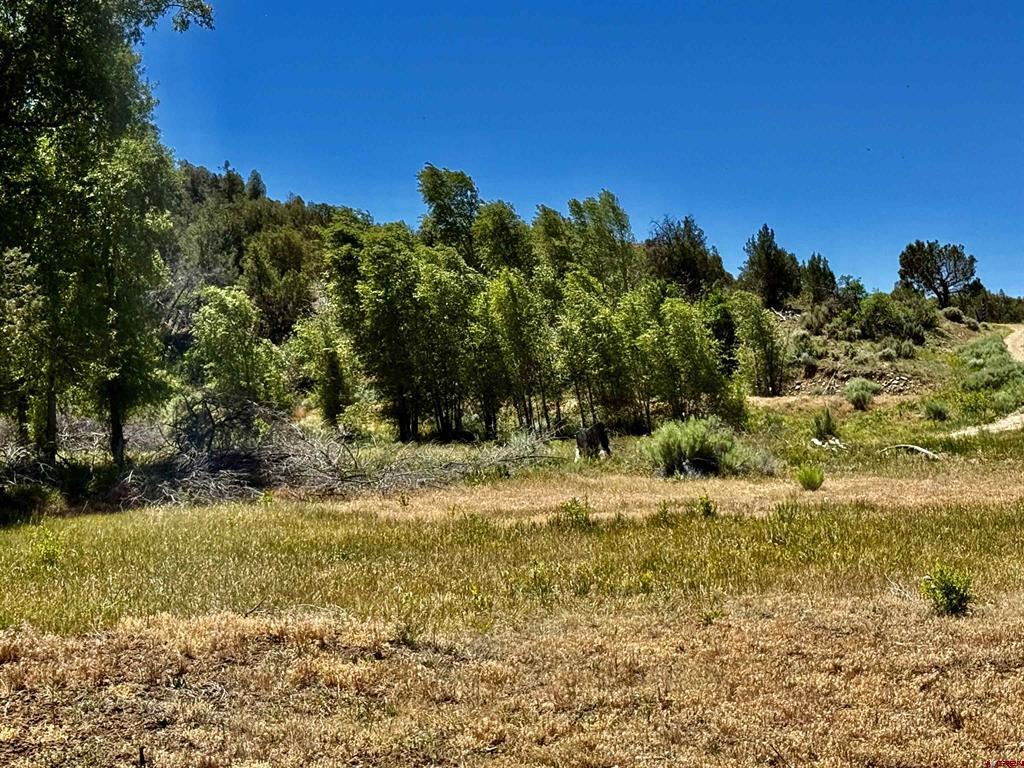 769 & 784 Bareback Lane Property Photo 30