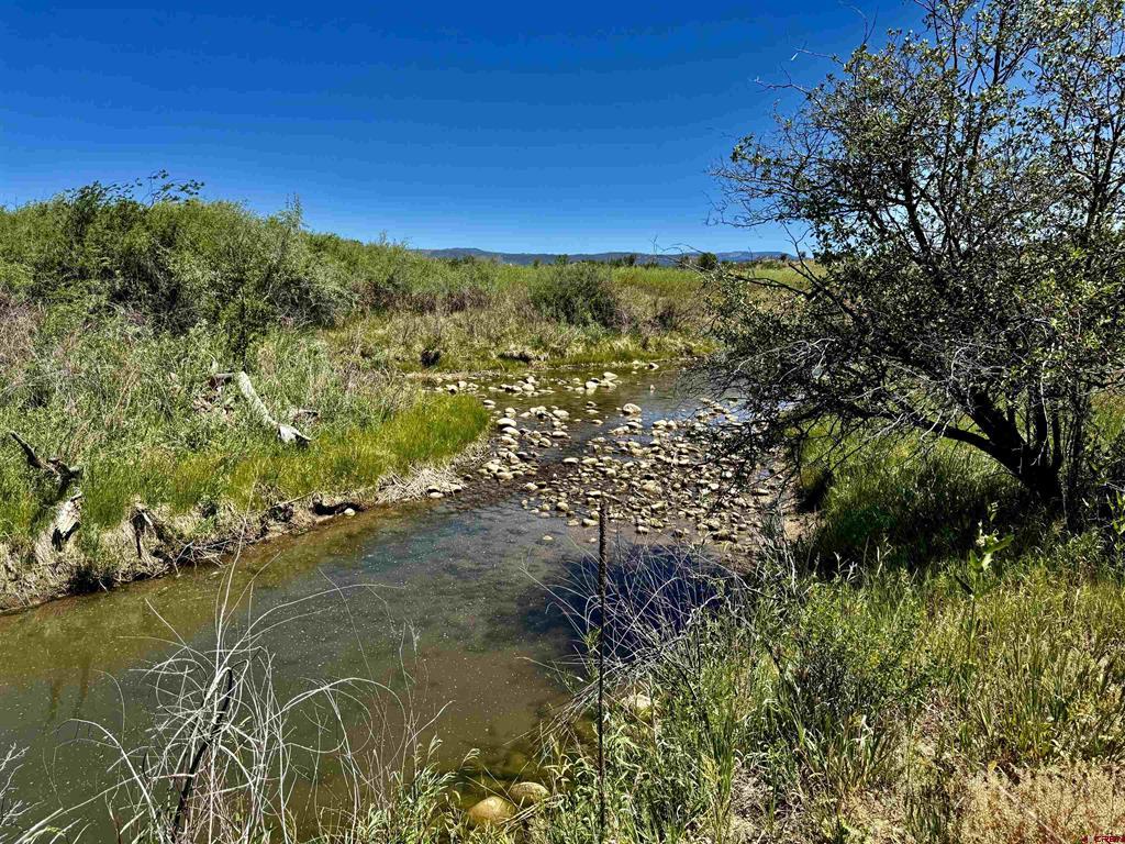 769 & 784 Bareback Lane Property Photo 31
