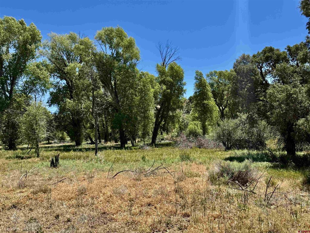769 & 784 Bareback Lane Property Photo 32