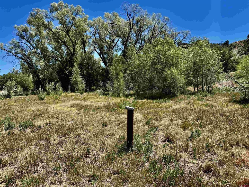 769 & 784 Bareback Lane Property Photo 33