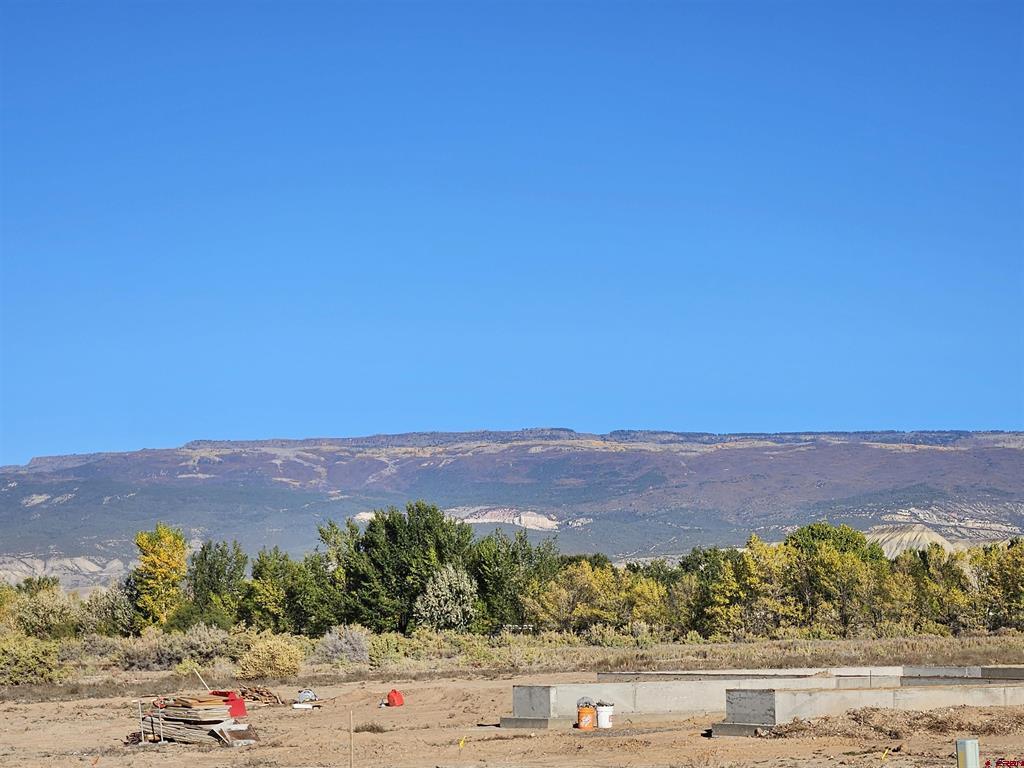 20194 Lilac Court Property Photo 17