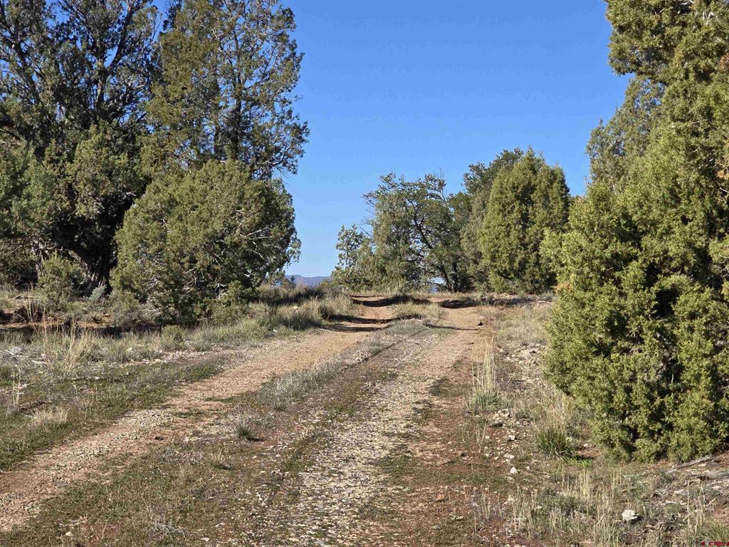 134 Rawhide Road Property Photo 3