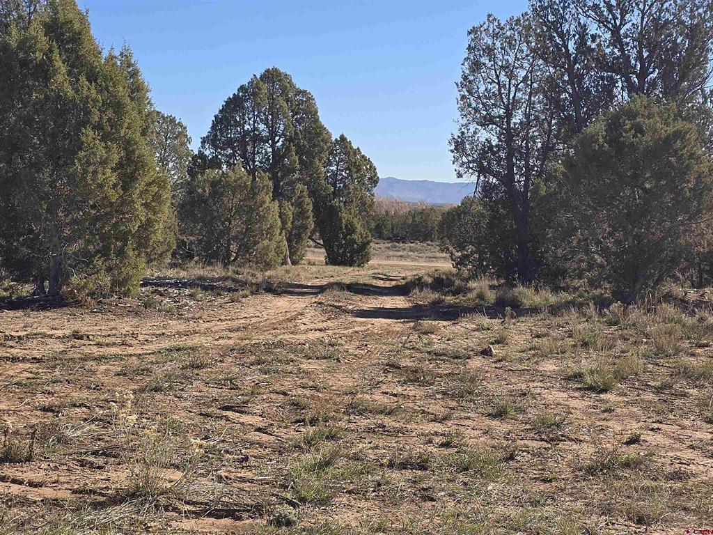 134 Rawhide Road Property Photo 4