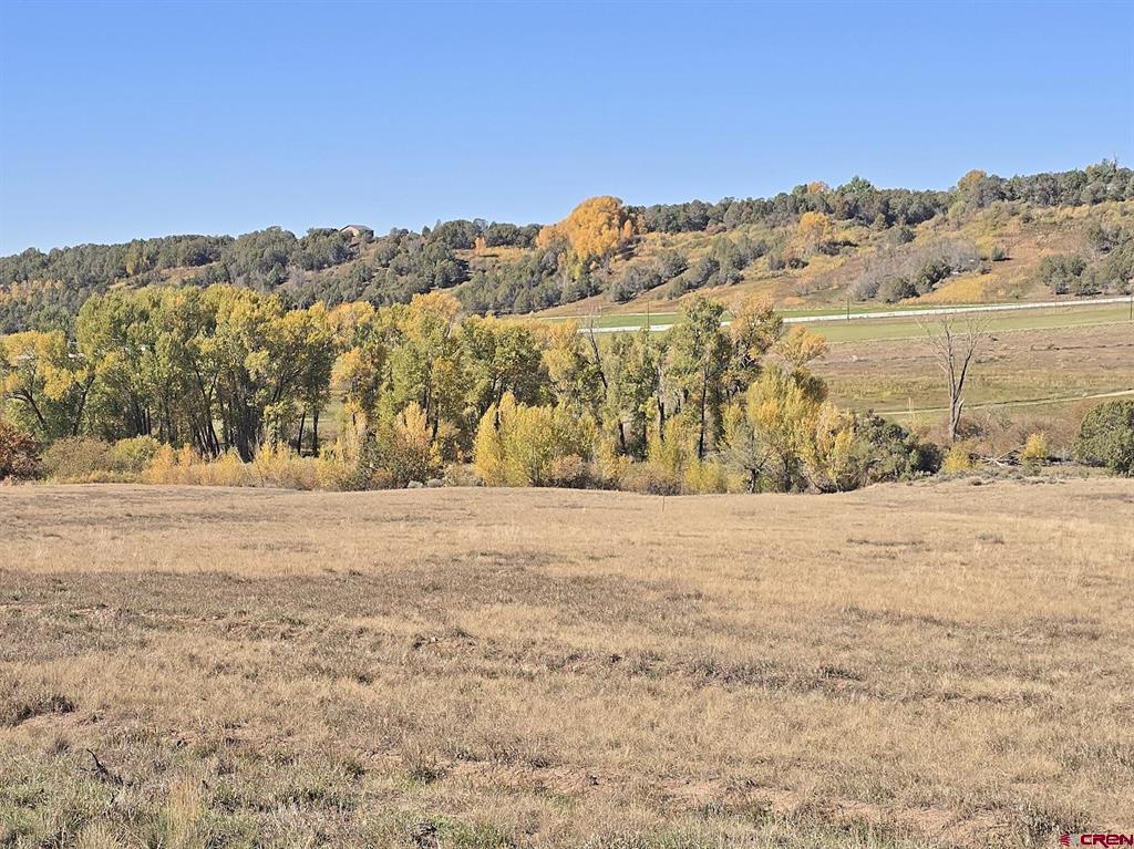 1308 Wrangler Way Property Photo 4