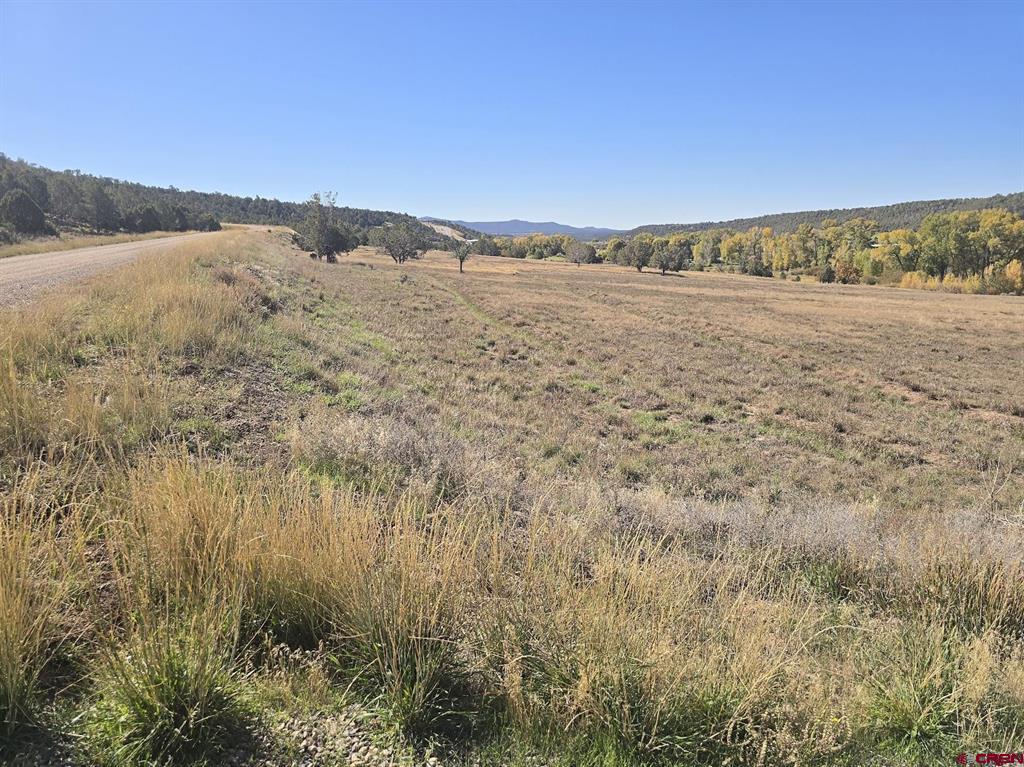 1308 Wrangler Way Property Photo 5
