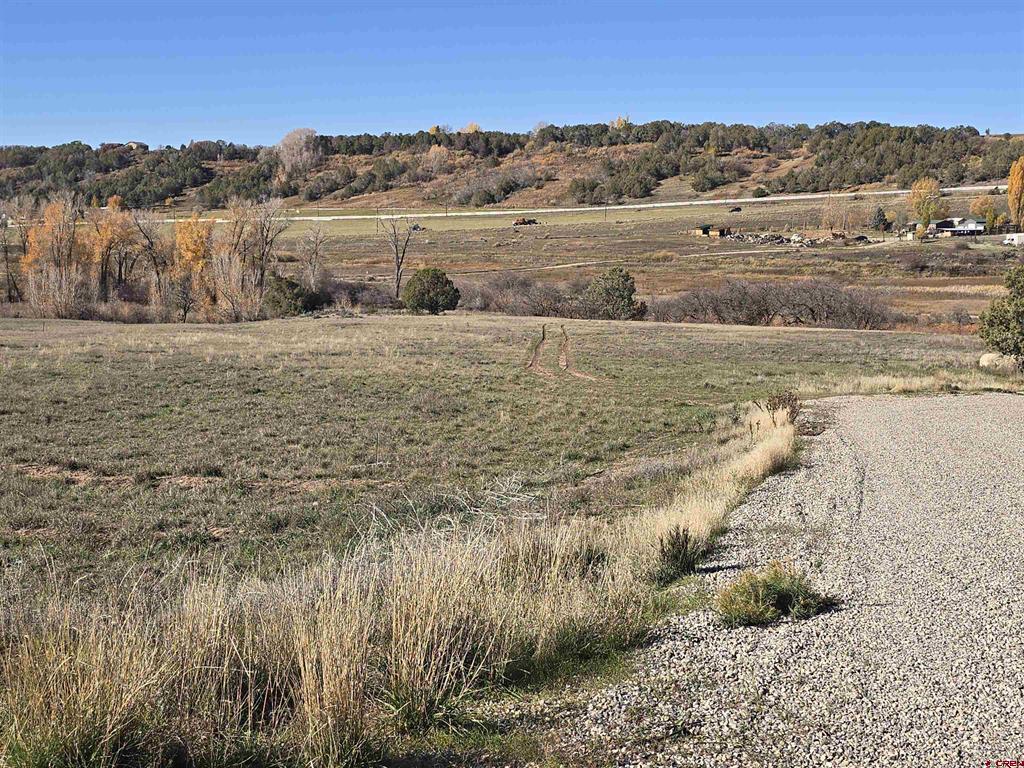 1308 Wrangler Way Property Photo 8