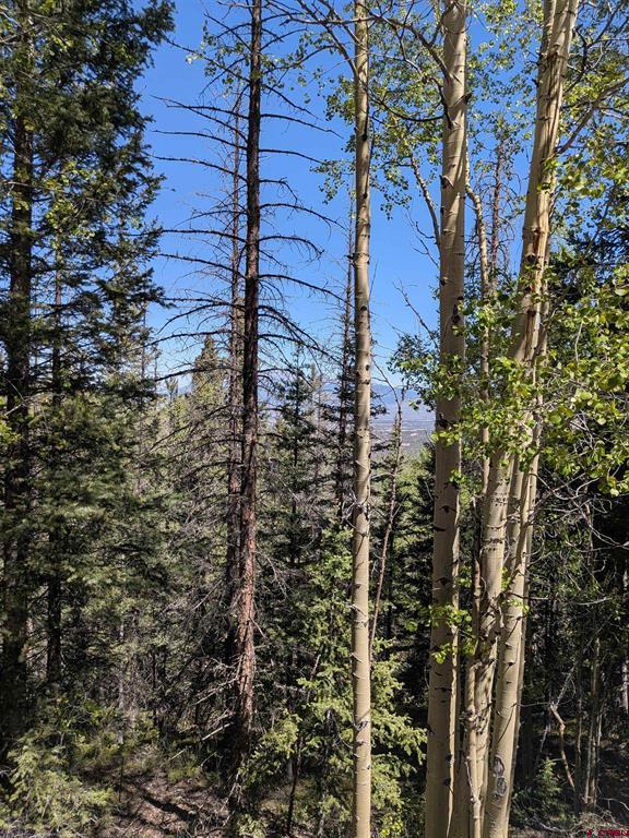 Lot 5374 Adams Road Property Photo 1