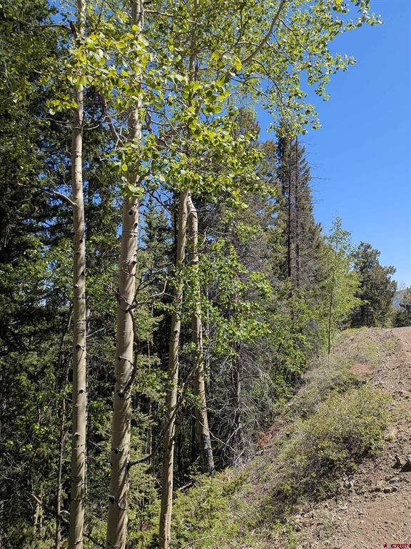 Lot 5374 Adams Road Property Photo 3