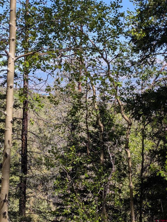 Lot 5374 Adams Road Property Photo 4