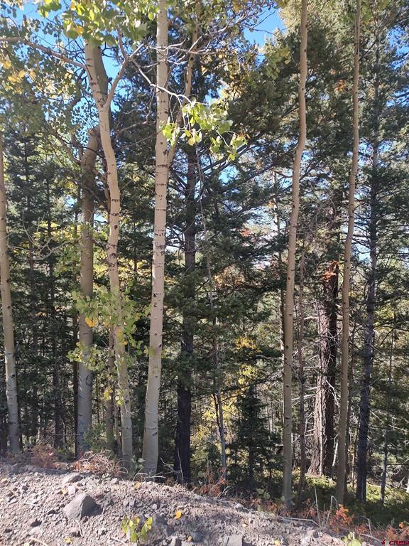 Lot 5374 Adams Road Property Photo 5