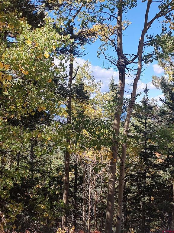 Lot 5374 Adams Road Property Photo 8