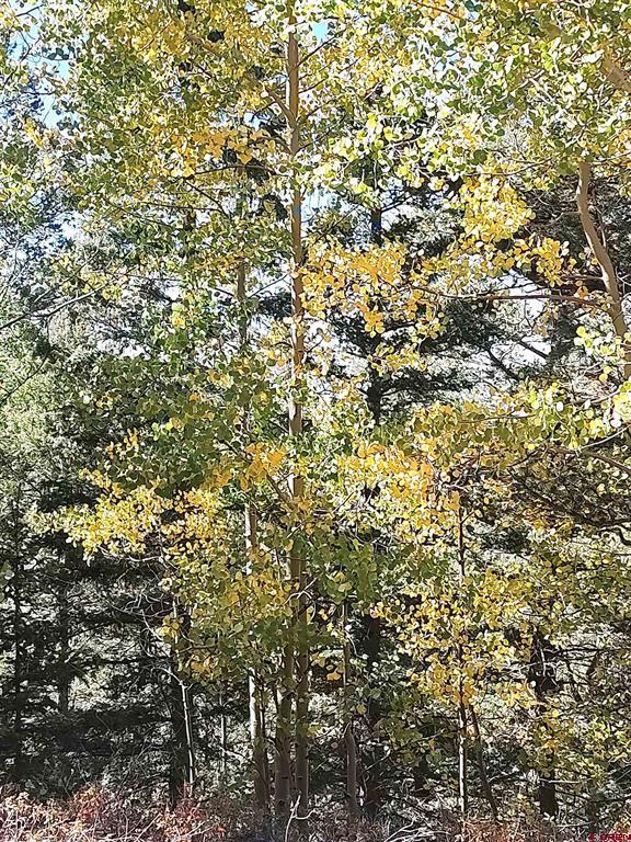 Lot 5374 Adams Road Property Photo 9