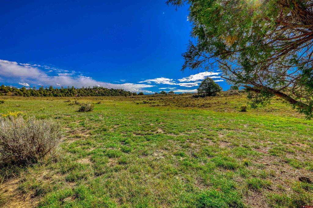 X Tall Pines Place Property Photo 3
