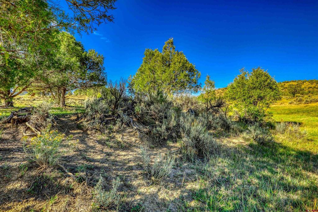 X Tall Pines Place Property Photo 4
