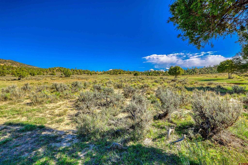 X Tall Pines Place Property Photo 6