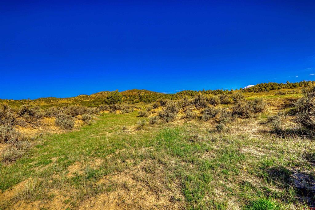 X Tall Pines Place Property Photo 8